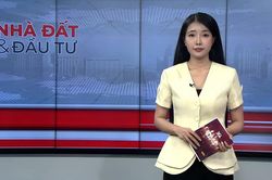 Bản tin Nhà đất và đầu tư | 03/07/2026