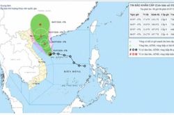 Tin bão khẩn cấp (cơn bão số 1)