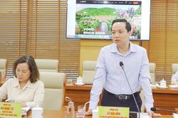 Chủ tịch UBND tỉnh Lê Hải Hòa làm việc với VDCD Group về định hướng thành lập Trung tâm Đổi mới sáng tạo tỉnh