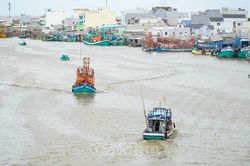 Ngư dân Sông Đốc chủ động đưa tàu vào bờ tránh trú bão