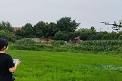 Bỏ phố về quê nối nghiệp cha, cô gái 9X dùng drone làm nông, biến khoảng sân nhỏ thành 'đại bản doanh' phục vụ hơn 300 hộ dân
