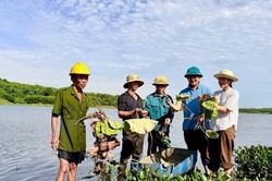 Quảng Trị: Chuyển đổi 11ha đất sản xuất nông nghiệp kém hiệu quả sang trồng sen