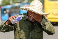 Tiết khí nóng nhất trong năm - tiết Đại thử 2026 bắt đầu từ ngày nào?