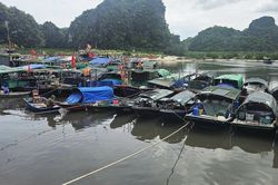 Ứng phó bão số 1, Hải Phòng và Quảng Ninh cấm biển, kiểm đếm tàu thuyền