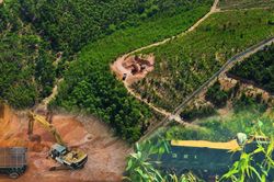 'Ổ' khai thác đất lậu lưng chừng núi Gia Lai: Xử phạt, thu giữ nhiều phương tiện