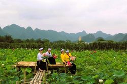 Hà Nội phát triển du lịch xanh, du lịch tái tạo: Điểm sáng từ mô hình cộng đồng Mường Cốc