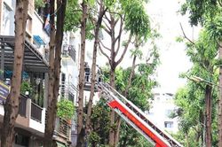 H&agrave; Nội chỉ đạo khắc phục hậu quả vụ ch&aacute;y ở phường Kiến Hưng