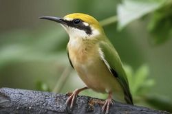 3 khung giờ sinh &Acirc;m lịch sinh ra người c&oacute; mệnh vinh hoa, c&agrave;ng gi&agrave; c&agrave;ng gi&agrave;u