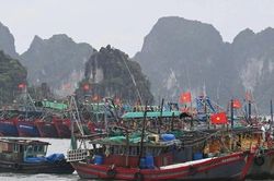 Quảng Ninh: 1 người mất tích do mưa bão, cấm biển từ 12 trưa nay