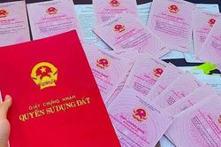 Khẩn trương trình sửa đổi Luật Đất đai, Luật Nhà ở và 21 luật, nghị quyết khác