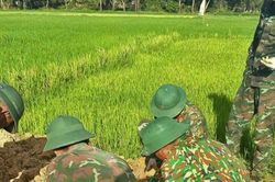 Phát hiện hài cốt liệt sĩ cùng nhiều di vật khi giải phóng mặt bằng thi công sân bay