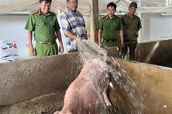 Từ những khoản vay nghĩa t&igrave;nh đến h&agrave;nh tr&igrave;nh l&agrave;m lại cuộc đời