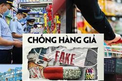 Quy chế tổ chức, hoạt động của BCĐ quốc gia chống bu&ocirc;n lậu, gian lận thương mại v&agrave; h&agrave;ng giả
