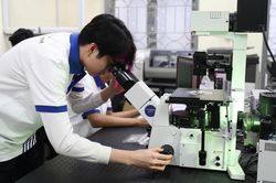 Nghị định 179 'h&uacute;t' người học v&agrave;o ng&agrave;nh khoa học, c&ocirc;ng nghệ chiến lược