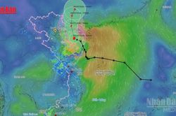 [Video] Bão số 1 đổi hướng, cách đặc khu Bạch Long Vĩ khoảng 70km