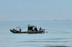 Thanh Hóa: Kêu gọi, hướng dẫn phương tiện tránh bão số 1