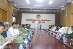 Quảng Ninh: Phường M&oacute;ng C&aacute;i 1 chủ động ứng ph&oacute; với b&atilde;o số 1
