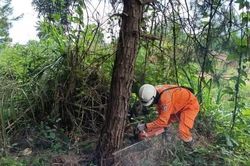 Điện lực miền Bắc chủ động các phương án ứng phó bão số 1