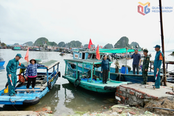 Đê biển từ Quảng Ninh đến Nghệ An được thiết kế chống bão cấp 9-10
