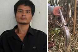 Gã đàn ông liên tiếp bắn chết nhiều gia súc của dân bản để trả thù cá nhân