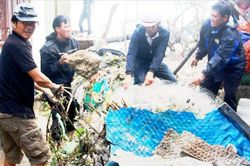 Chuyển đổi số trong phòng, chống thiên tai