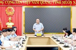Chủ tịch tỉnh Tuyên Quang chỉ đạo rà soát toàn bộ quy trình thi sau nghi vấn phổ điểm Toán