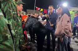Quân khuyển Việt Nam được Tổng thống lâm thời Venezuela tặng Huân chương Công trạng