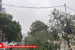 Gió giật cấp 11 ở Móng Cái, nhiều nhà dân bị tốc mái