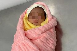 Phát hiện bé gái sơ sinh nặng 1,6kg bị bỏ rơi gần chùa ở TPHCM, sức khỏe yếu