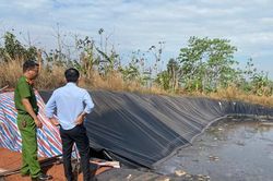 Lâm Đồng tăng cường đấu tranh xử lý tội phạm về môi trường gắn với phát triển du lịch bền vững