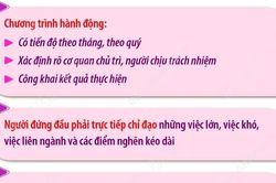 Tổng Bí thư, Chủ tịch nước: Chính phủ khẩn trương cụ thể hóa các nhiệm vụ thành chương trình hành động