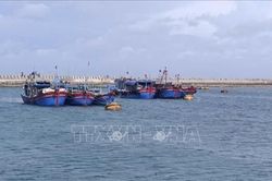 Hải Phòng dùng ra đa hỗ trợ tàu cá về nơi tránh trú bão số 1