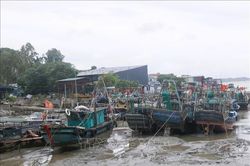 Các địa phương ven biển Quảng Ninh khẩn trương ứng phó bão số 1
