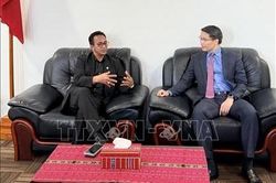 Việt Nam - Timor Leste thúc đẩy hợp tác pháp luật, tư pháp và chuyển đổi số
