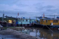Ứng phó bão số 1: Mưa to và gió lớn khiến cây gãy đổ, trôi bè nuôi hải sản ở Quảng Ninh