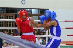 Hơn 500 vận động viên tham gia giải Vô địch Boxing trẻ toàn quốc năm 2026