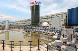 Ai đứng sau Miza - doanh nghiệp vừa niêm yết trên sàn HoSE?