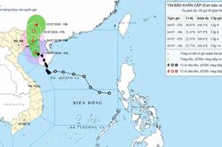 Công điện khẩn ứng phó bão số 1 và mưa lũ sau bão