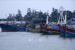 Khắc phục 'thẻ vàng' IUU: Cà Mau tăng cường kiểm soát tàu cá, tái tạo nguồn lợi thủy sản