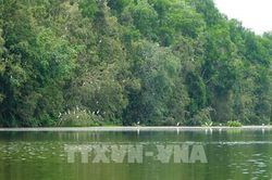 Cộng đồng mở rộng 'vành đai xanh' bảo tồn đa dạng sinh học
