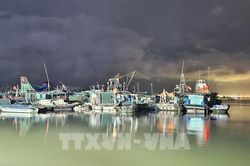 Ứng ph&oacute; b&atilde;o số 1: Quảng Ninh tập trung lực lượng khẩn trương khắc phục hậu quả b&atilde;o số 1 trong đ&ecirc;m