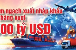 Infographic | Kim ngạch xuất nhập khẩu 6 th&aacute;ng vượt 500 tỷ USD