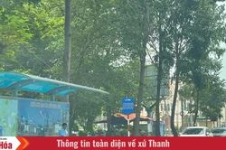 Xe buýt ơi! (Bài 2): Dưới mái nhà chờ... xe buýt
