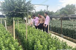Điểm tựa phát triển kinh tế bền vững