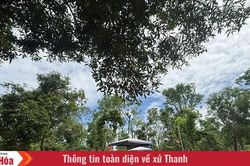 Ngàn năm bóng ngựa (Bài 1): Bóng ngựa trong văn hóa Việt