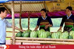 Hương quê ven đường