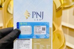 Luật sư gợi ý cách xử lý cho người tiêu dùng sở hữu kim cương có giấy kiểm định từ PNJ-Lab