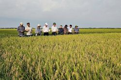 Nông nghiệp 6 tháng đầu năm 2026: Tăng trưởng vững chắc, nâng cao giá trị và hiệu quả