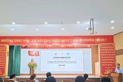 Tăng cường hợp tác và vận động viện trợ phi chính phủ nước ngoài