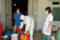 Chủ động phòng, chống dịch tả lợn châu Phi